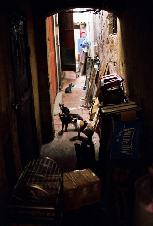 Inside Hanoi _ 11